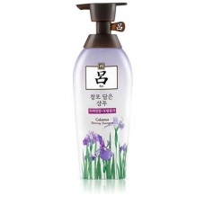 Шампунь для ухода за кожей головы и волосами Ryo Seaweed Calamus Shining Iris Shampoo 500мл