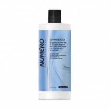 Шампунь BRELIL Numero Elasticizzante & Anticrespo all'Olio d'Oliva , PERFECT CURLY 1000мл