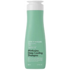 Шампунь освежающий для жирных волос Daeng Gi Meo Ri Look At Hair Loss Minticcino Deep Cooling 500 мл